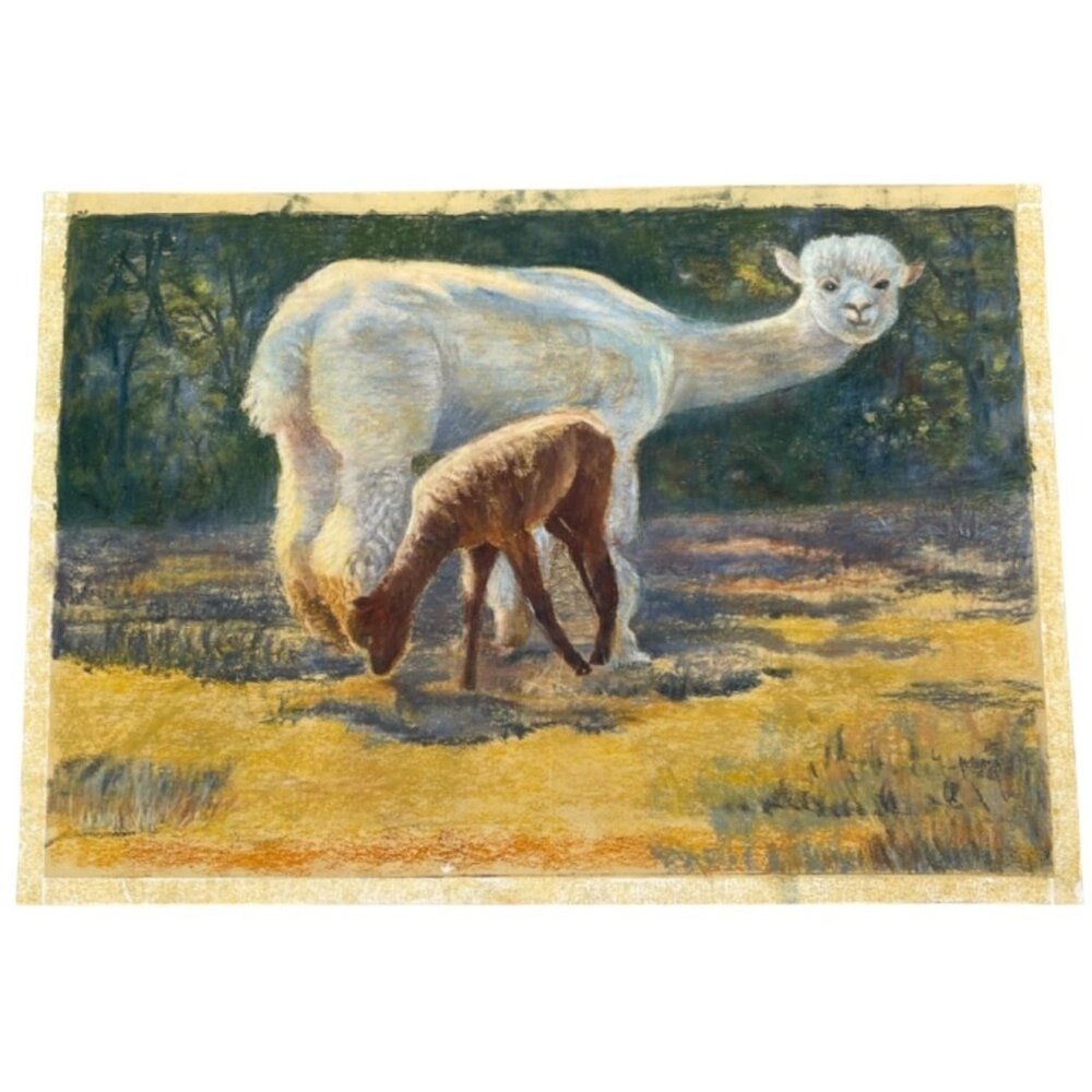 Original Pastel Drawing Of white & brown Alpacas Grazing In Field farming READ